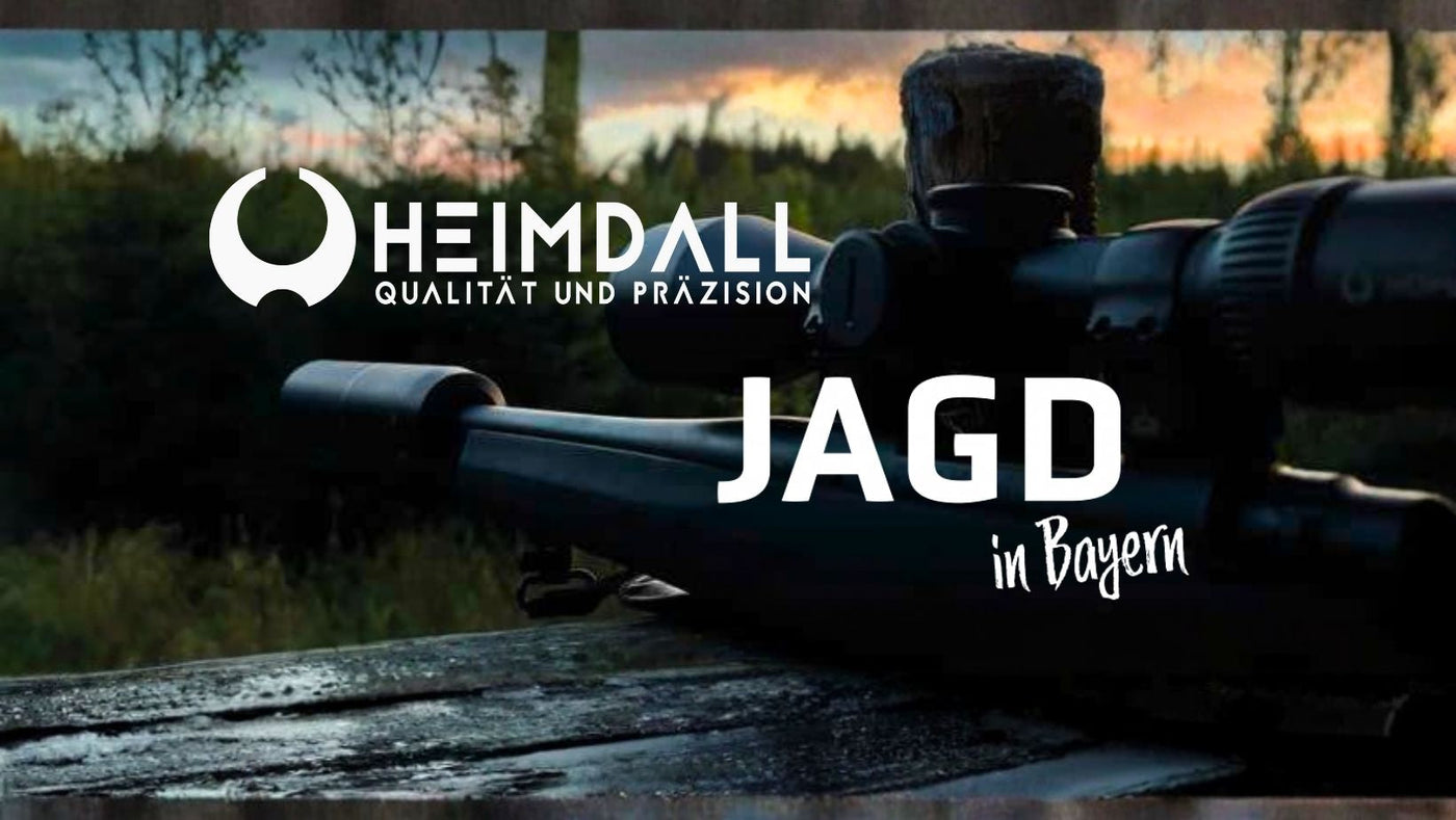 Heimdall H8Xi 2–16×50 im Jagdpraxistest – starke Leistung zum fairen Preis